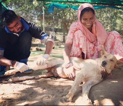 BEHERE&LOVE DONATES TO ANIMAL AID UNLIMITED.